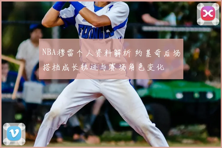 NBA穆雷个人资料解析 约基奇后场搭档成长轨迹与赛场角色变化